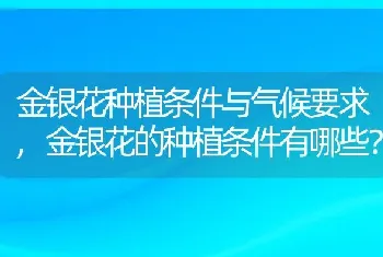 金银花种植条件与气候要求