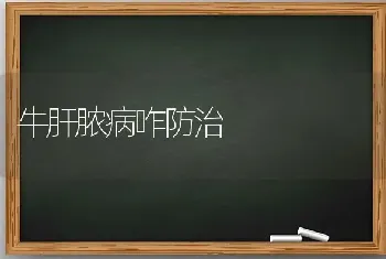 牛肝脓病咋防治