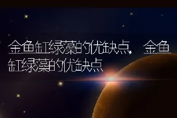 金鱼缸绿藻的优缺点