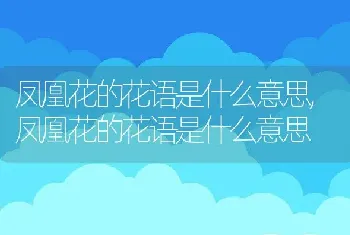 苦菜长什么样子