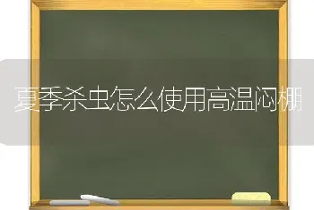 夏季杀虫怎么使用高温闷棚