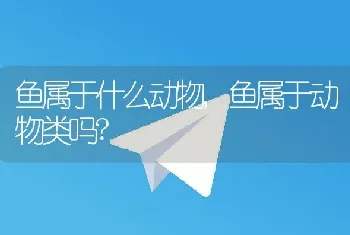 鱼属于什么动物