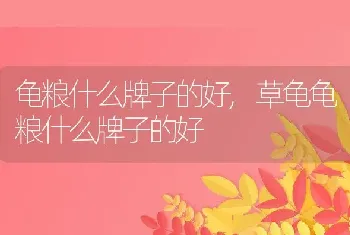 龟粮什么牌子的好