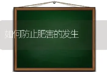 如何防止肥害的发生