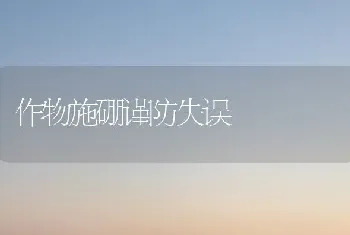 作物施硼谨防失误