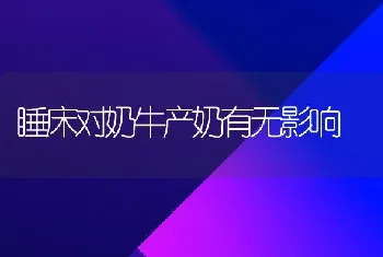 睡床对奶牛产奶有无影响