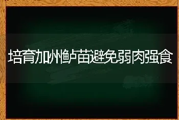 大葱叶片扭曲畸形怎么改善