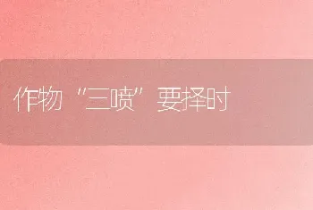 作物“三喷”要择时