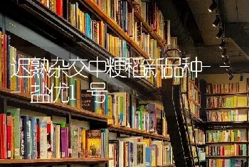 迟熟杂交中粳稻新品种---盐优1号