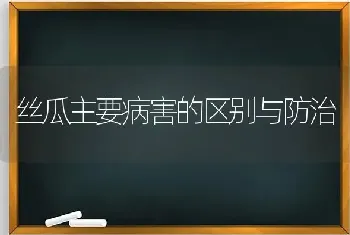 丝瓜主要病害的区别与防治