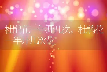 杜鹃花一年开几次