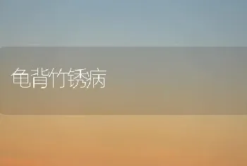 龟背竹锈病