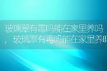 玻璃翠有毒吗能在家里养吗