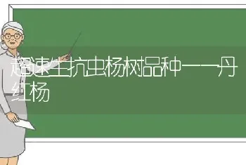 超速生抗虫杨树品种——丹红杨