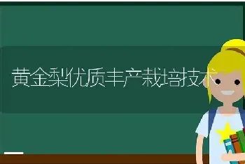 黄金梨优质丰产栽培技术