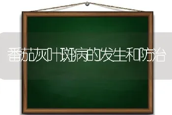 番茄灰叶斑病的发生和防治