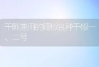 干鲜兼用的辣椒良种干椒一、二号