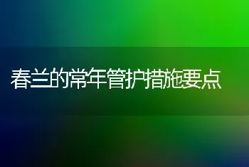 春兰的常年管护措施要点