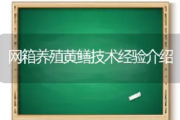 网箱养殖黄鳝技术经验介绍