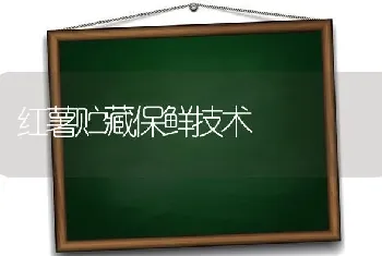 红薯贮藏保鲜技术