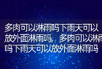 核桃仁一天吃几个最好