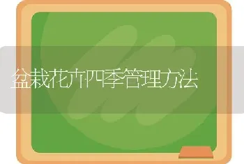 盆栽花卉四季管理方法