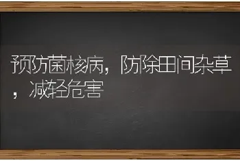 预防菌核病,防除田间杂草,减轻危害