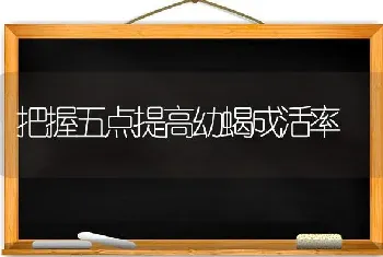 把握五点提高幼蝎成活率