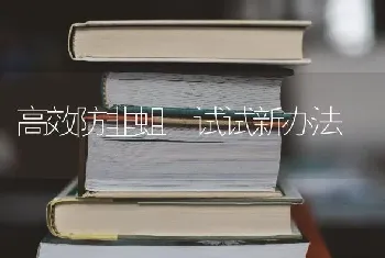 高效防韭蛆 试试新办法