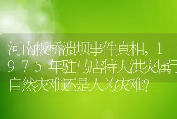 河南板桥溃坝事件真相