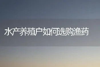 水产养殖户如何选购渔药