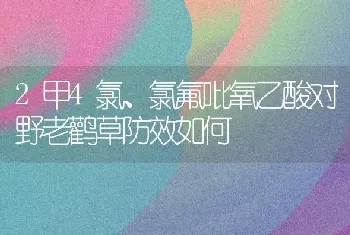 2甲4氯、氯氟吡氧乙酸对野老鹳草防效如何