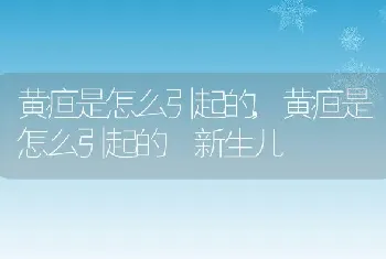 黄疸是怎么引起的,黄疸是怎么引起的 新生儿