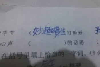 什么是语言描写