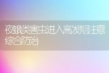 夜蛾类害虫进入高发期注意综合防治