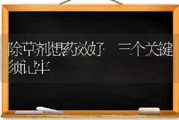 除草剂想药效好 三个关键须记牢