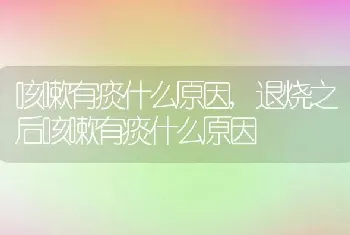 咳嗽有痰什么原因,退烧之后咳嗽有痰什么原因