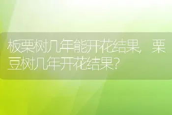 板栗树几年能开花结果