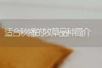 适合秋播的牧草品种简介