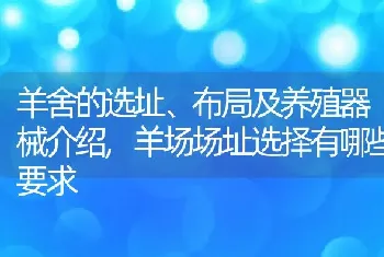 羊舍的选址、布局及养殖器械介绍