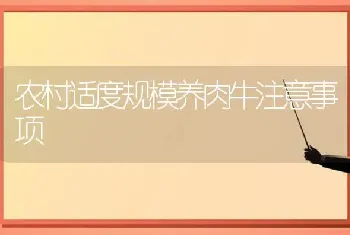 农村适度规模养肉牛注意事项