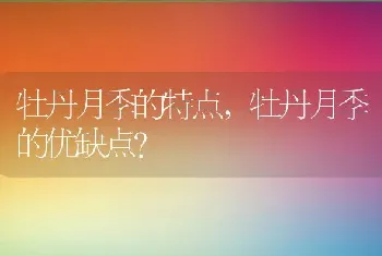 什么东西降火,什么东西降火效果最好