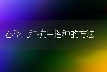 春季九种抗旱播种的方法