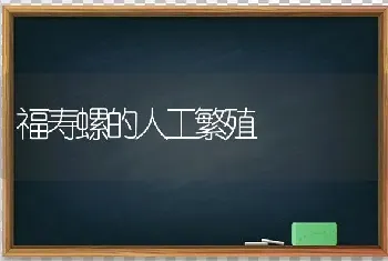 福寿螺的人工繁殖