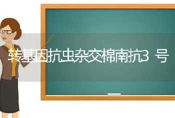 转基因抗虫杂交棉南抗3号