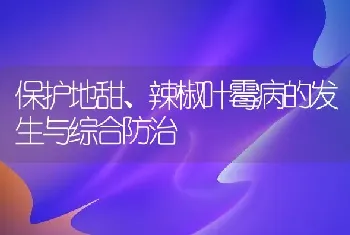 保护地甜、辣椒叶霉病的发生与综合防治