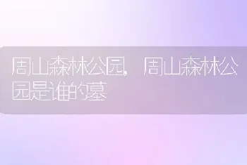 周山森林公园