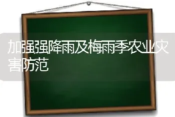 加强强降雨及梅雨季农业灾害防范