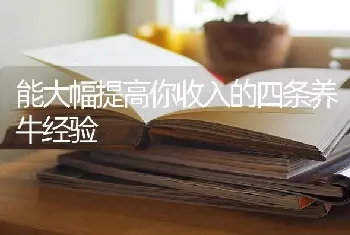 能大幅提高你收入的四条养牛经验