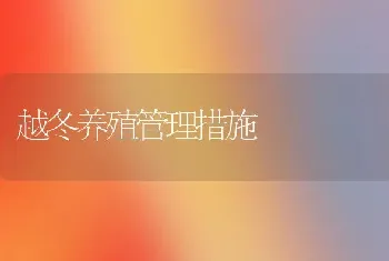 越冬养殖管理措施